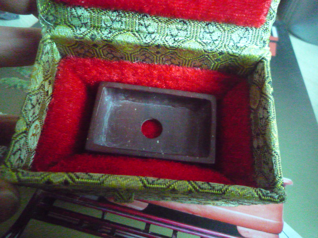 P1070329.JPG