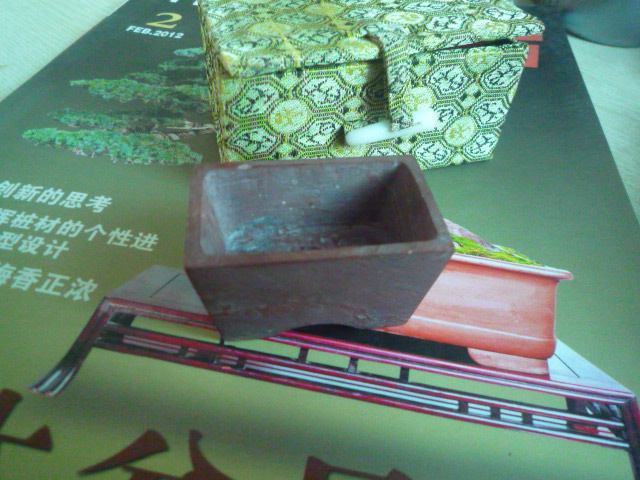 P1070340.JPG