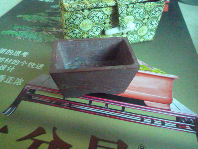P1070341.JPG