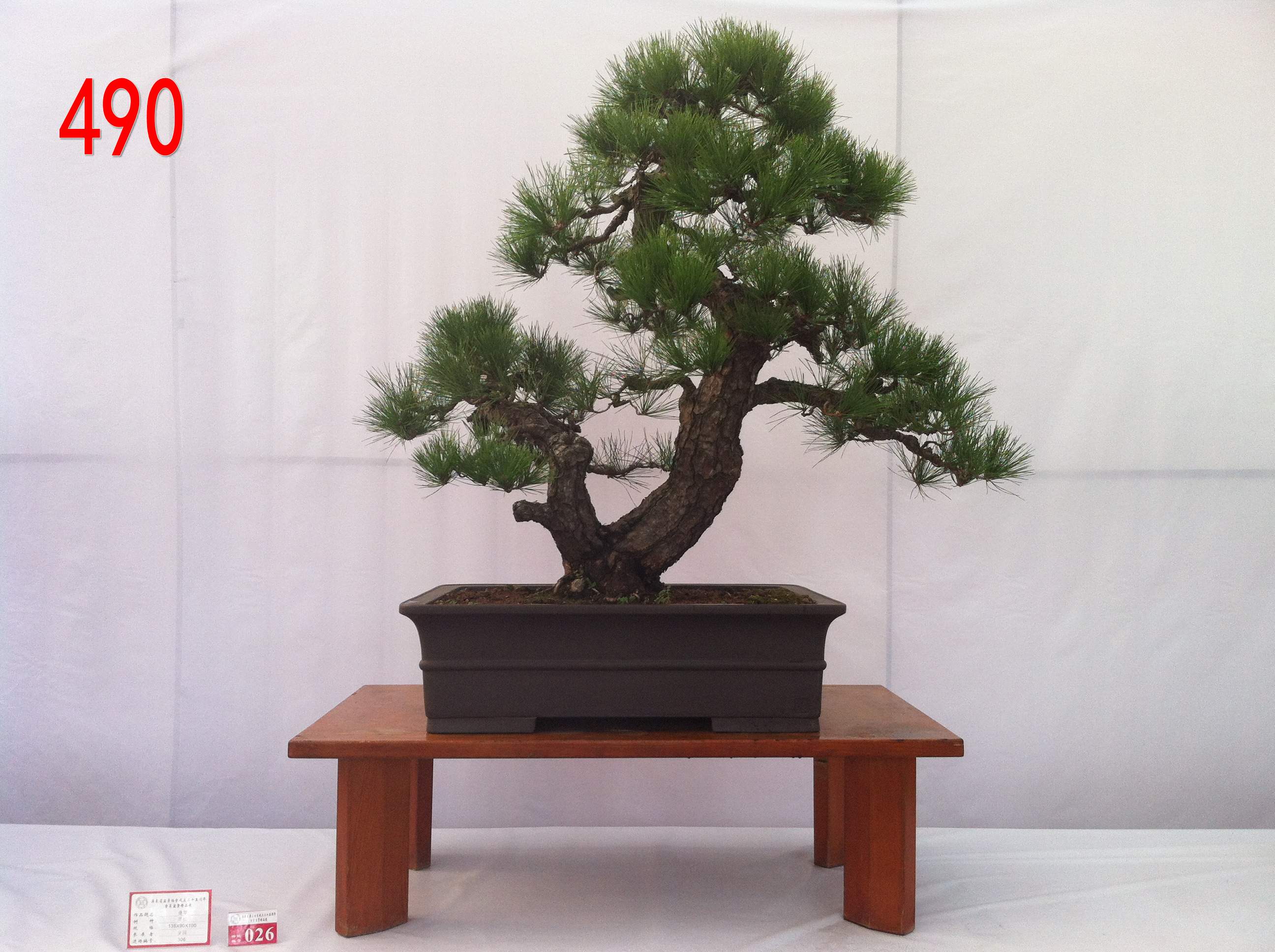 ϡ     112CM115CM.jpg
