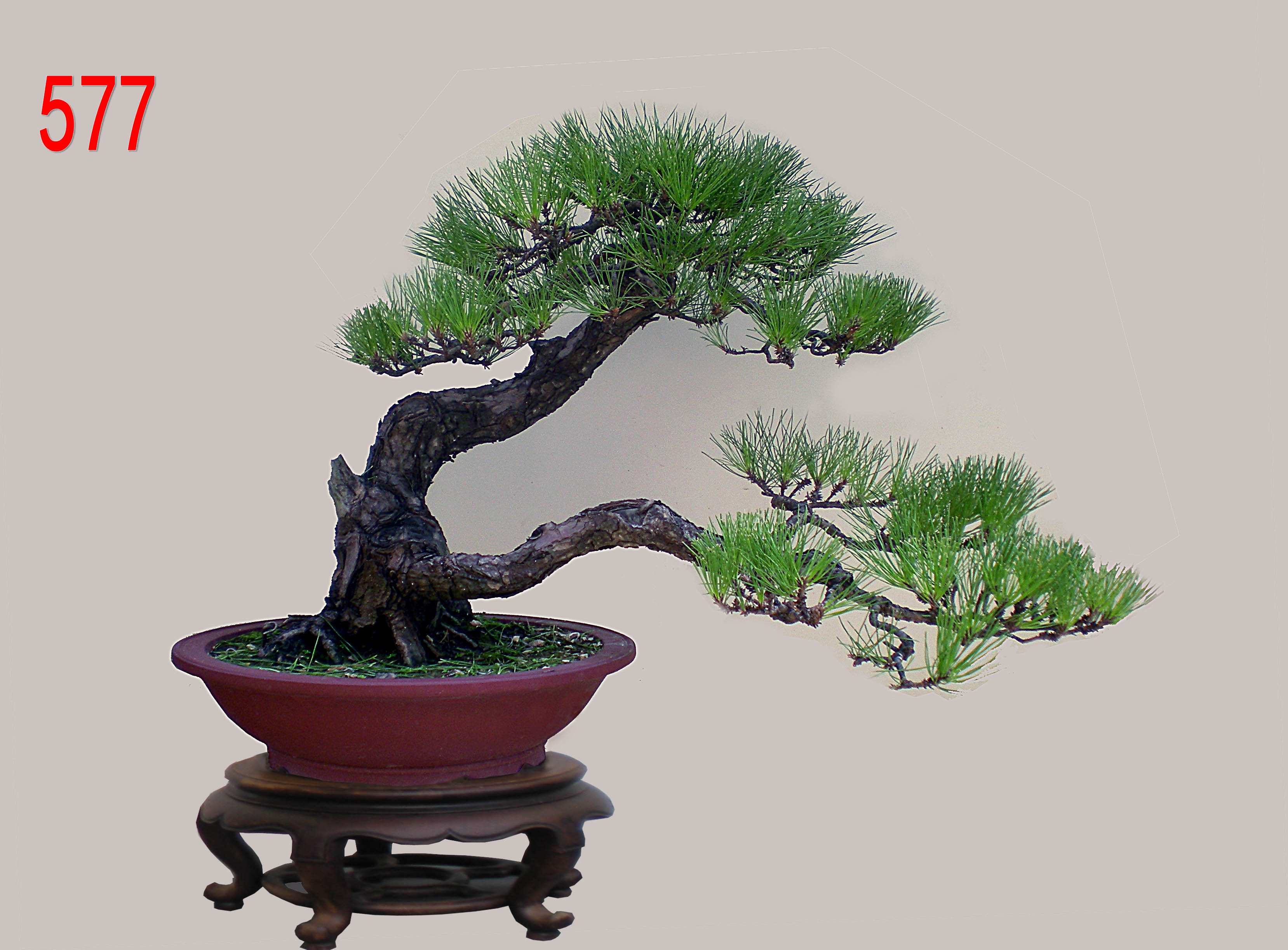硷     6575  .jpg