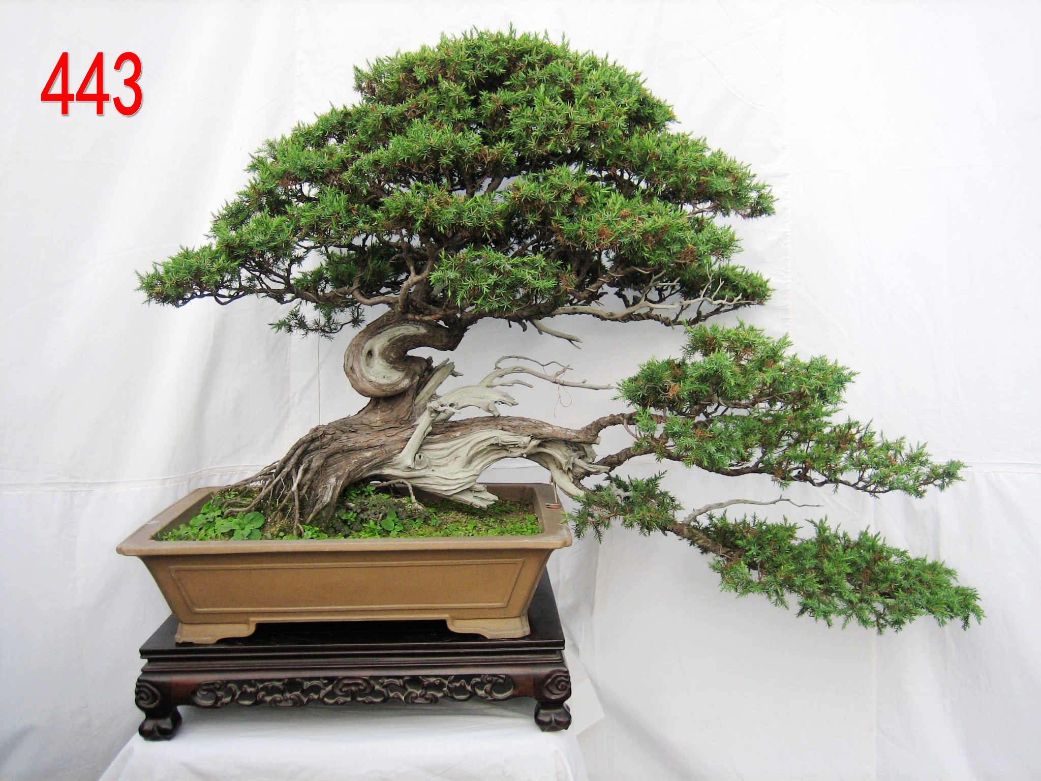 ӭ   ̰  62cm 112cm.jpg
