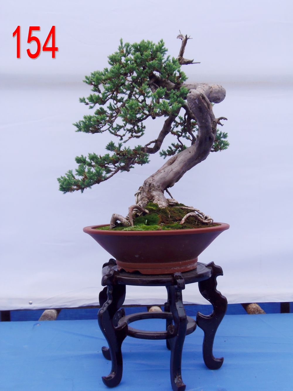 ذ       55X35X5 .jpg