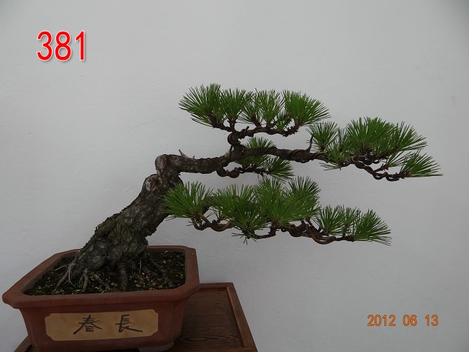 Ʈ     30X55 CM.jpg
