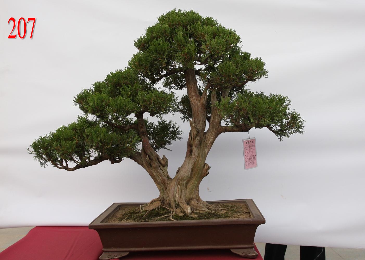 ˫8080CM.jpg