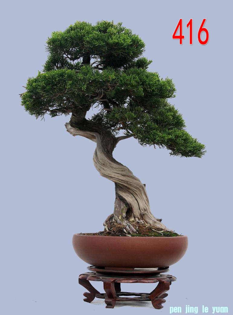  ˮ ֣ ߣ56cm.jpg