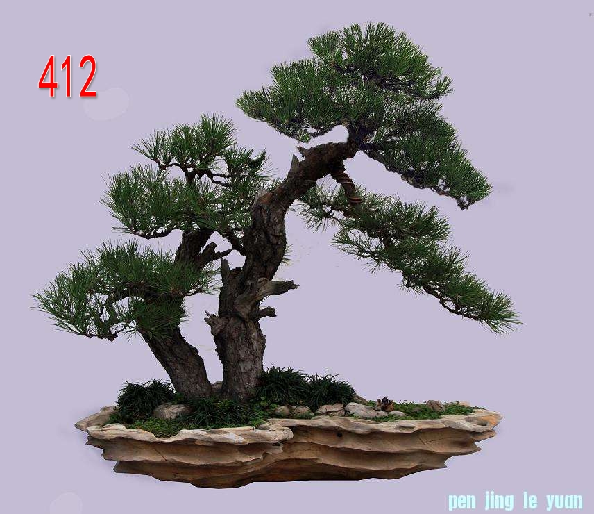  ɼ ֣ ߣ92cm.jpg