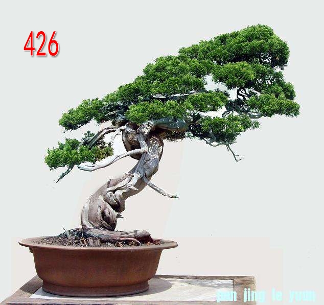   ֣ {98cm.jpg