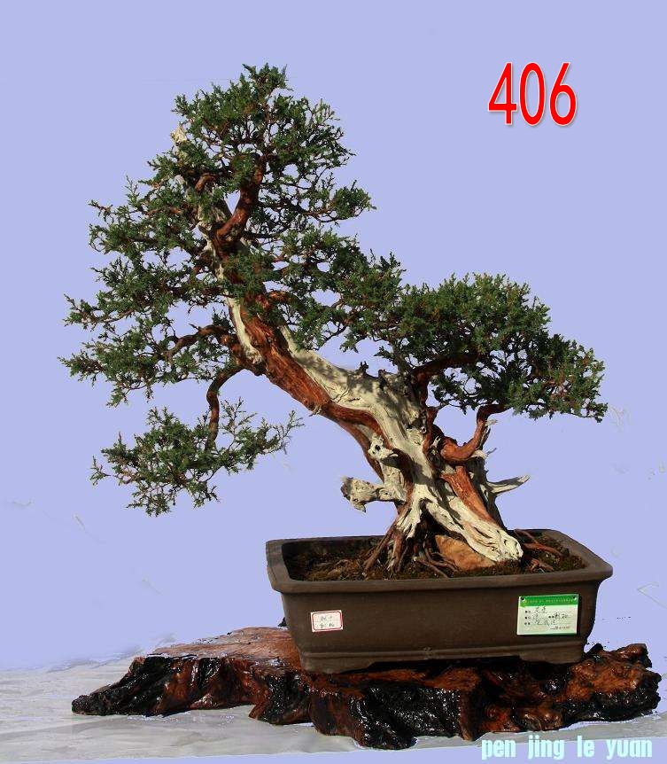 ɣ  ֣̰ ߣ82cm (2).jpg
