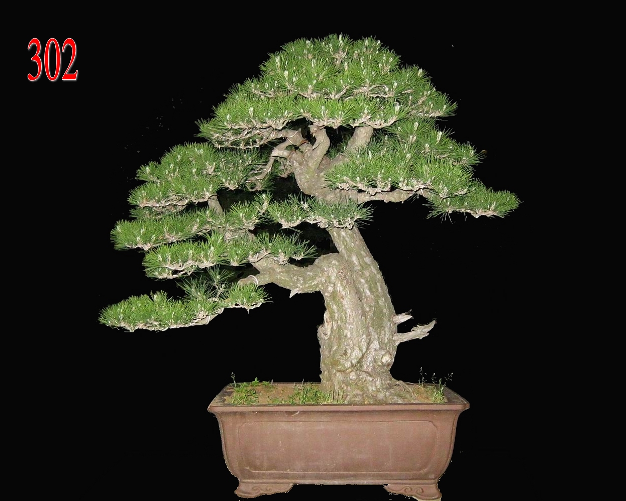      辰 120CM.jpg