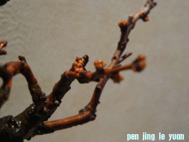 DSC01601.JPG