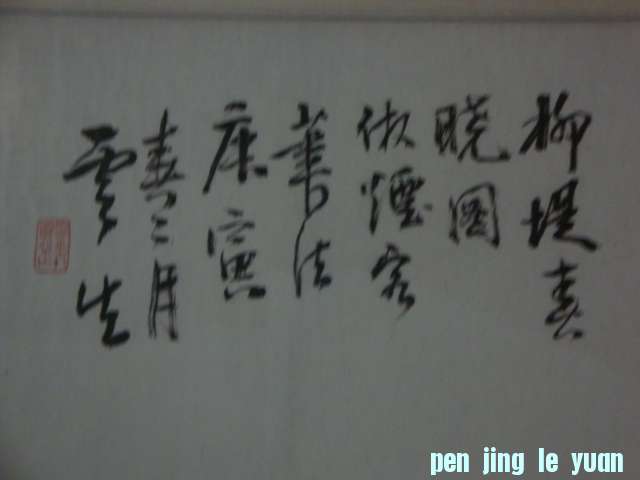 DSC01411.JPG