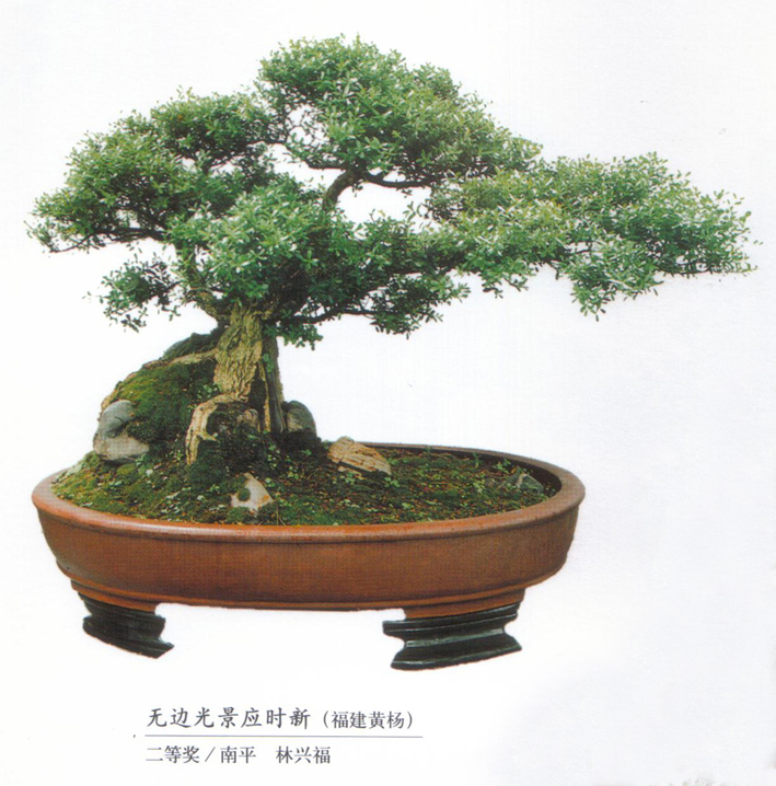 ˸-ƽ-ޱ߹⾰Ӧʱ»-52Ƚ.jpg