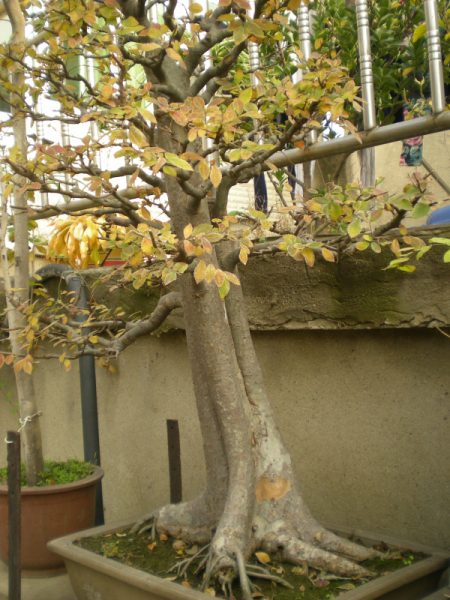 DSCN2548.JPG