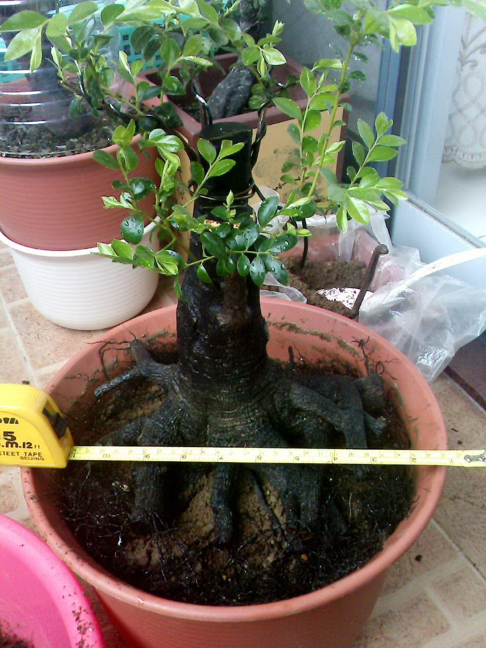 20121201.2.jpg