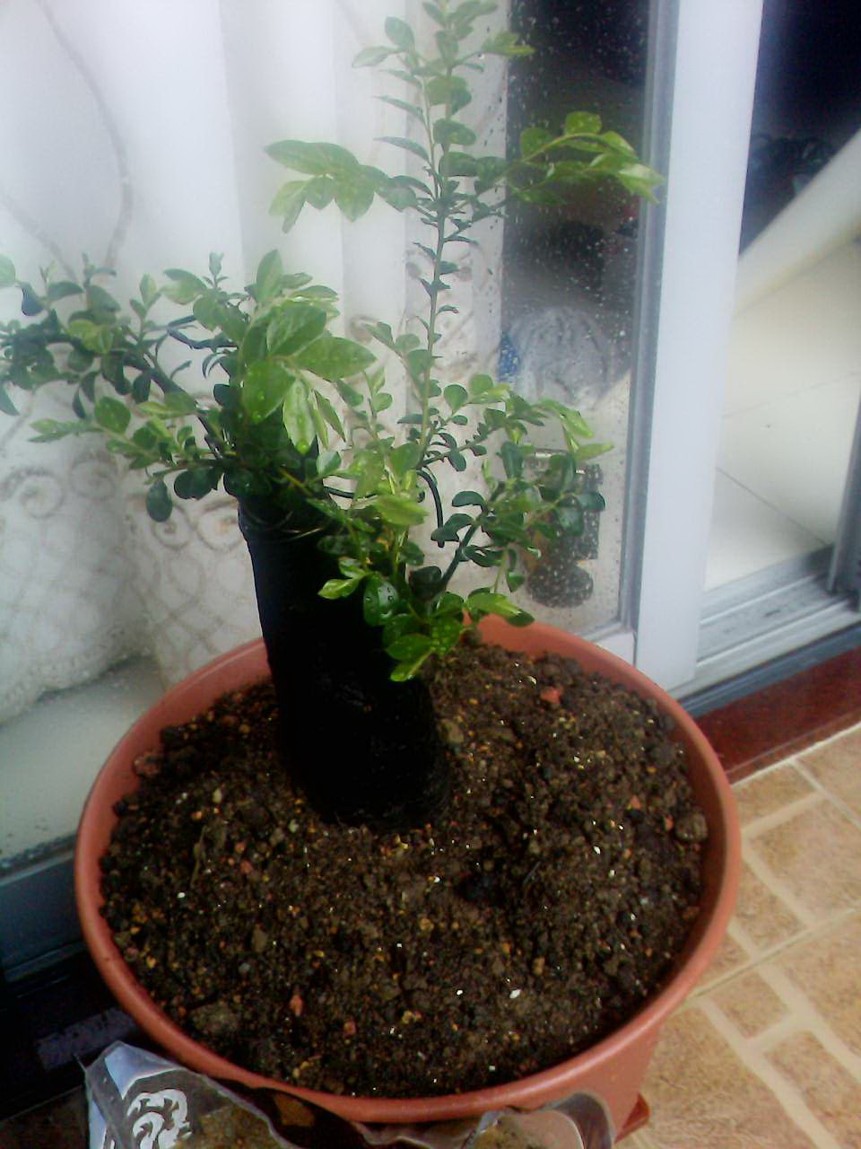 20121201.4.jpg