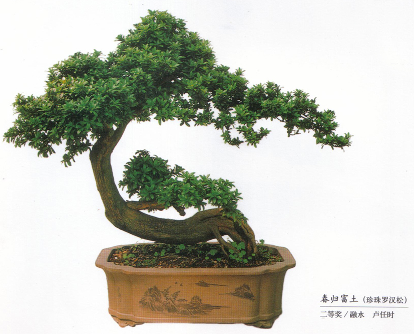 ¬ʱ-ˮ-鸻޺-52Ƚ.jpg
