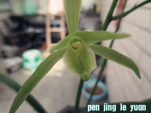 2012.10.2. 021_.jpg
