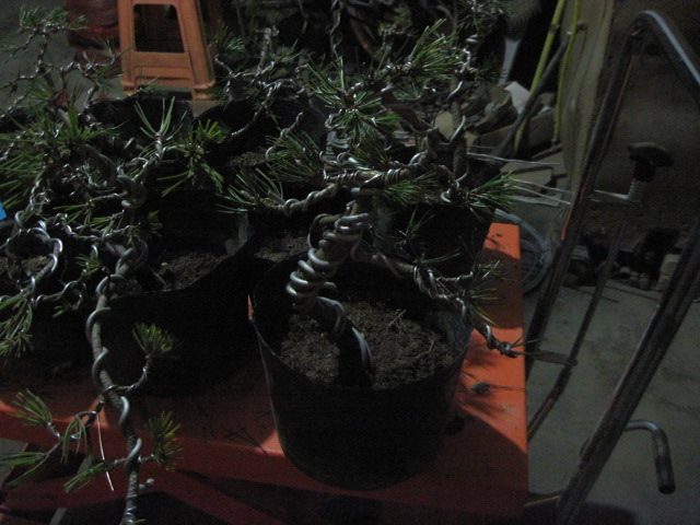 130104 005.jpg