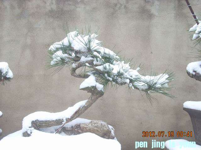 С DSCN0080.JPG