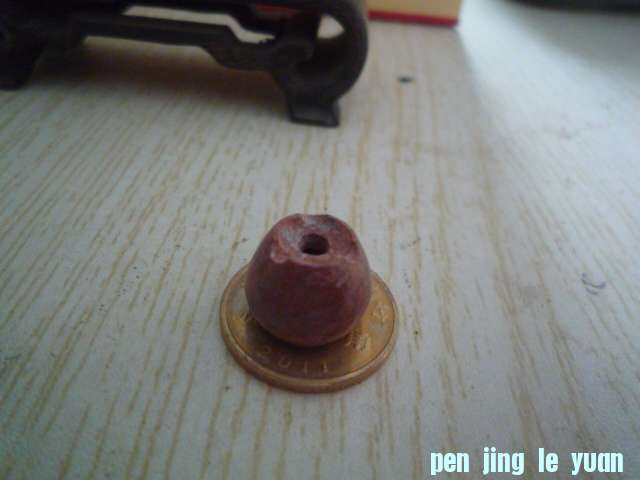 P1070444.JPG