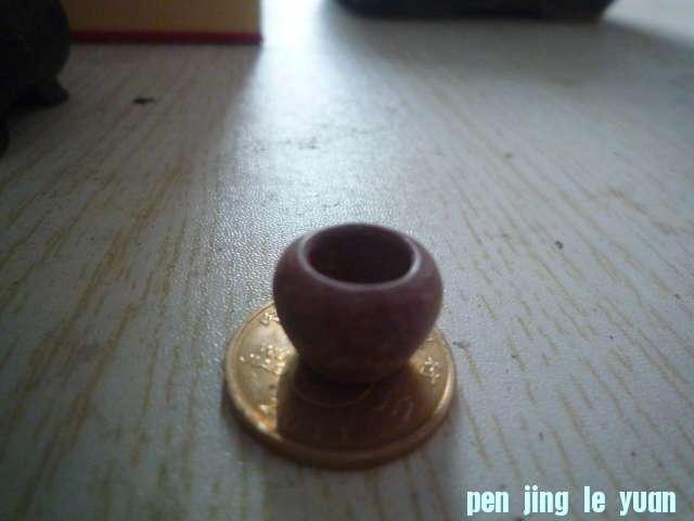 P1070445.JPG
