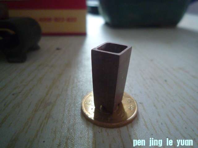 P1070446.JPG