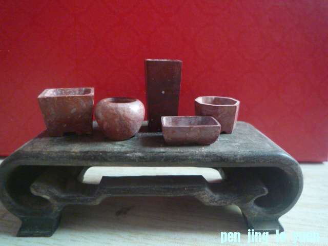 P1070452.JPG