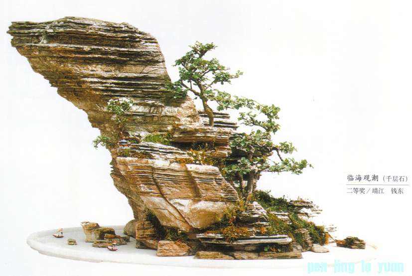 Ǯ--ٺ۳ǧʯ-52Ƚ.jpg