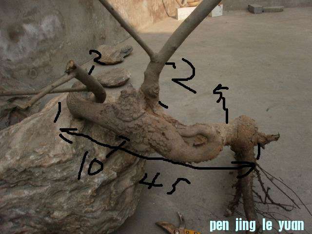 P1060221.JPG