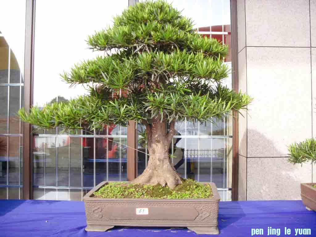 SDC13053.JPG