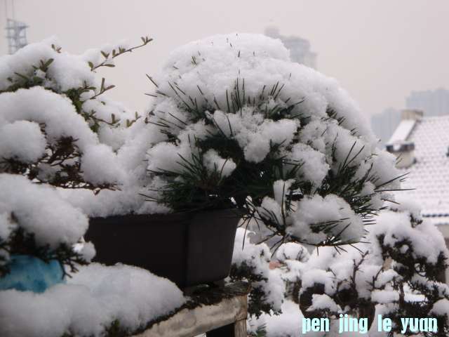 DSC01661.JPG