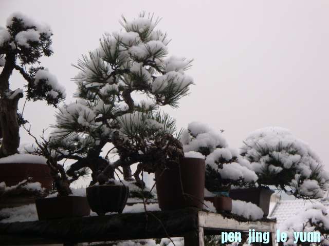 DSC01654.JPG