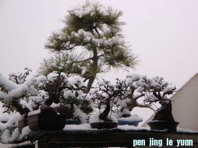 DSC01655.JPG
