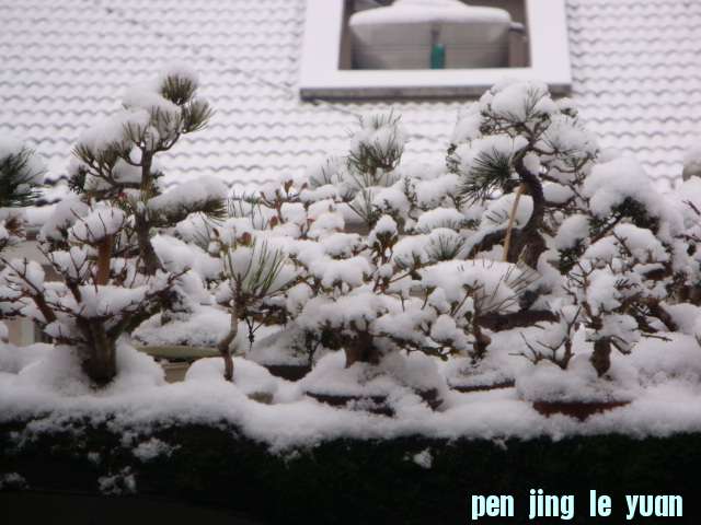 DSC01656.JPG