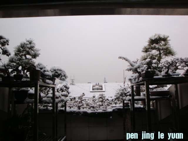 DSC01657.JPG