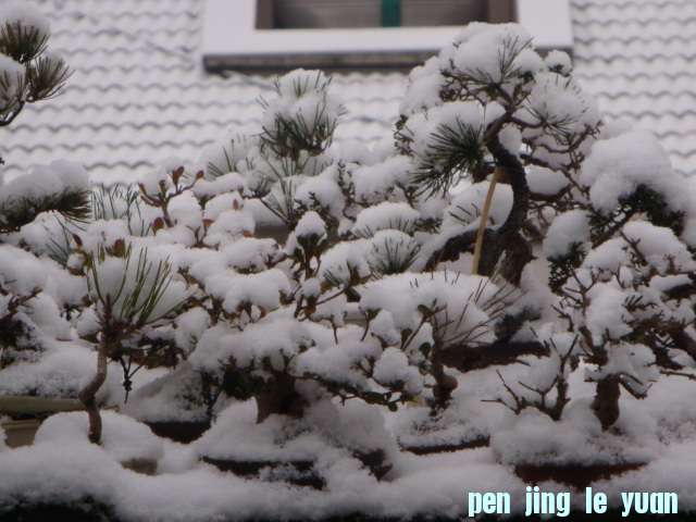 DSC01658.JPG