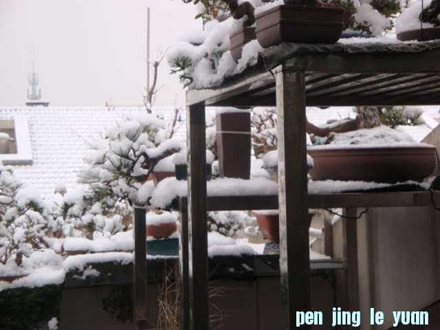 DSC01659.JPG