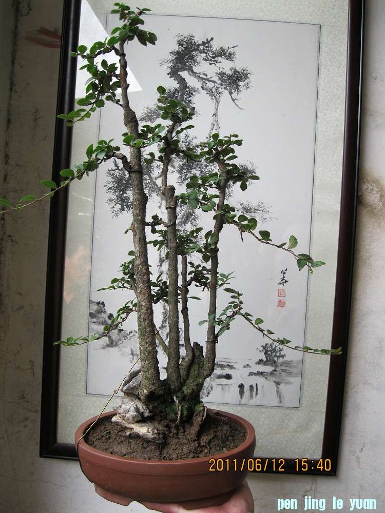 IMG_0124.JPG