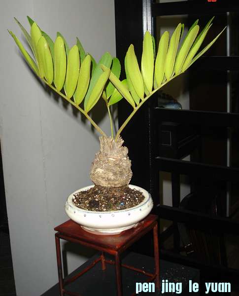 DSC02519_.jpg