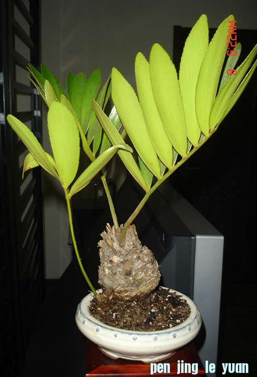 DSC02520_.jpg