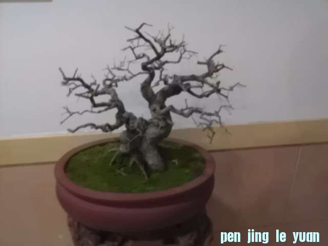 IMAG0770.jpg