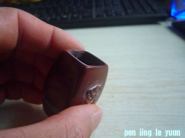 P1070515.JPG