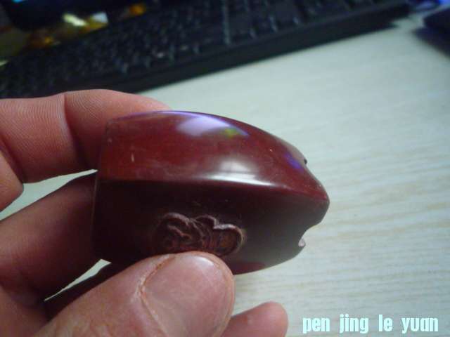 P1070517.JPG