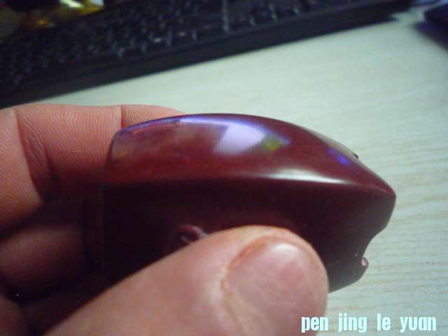 P1070519.JPG