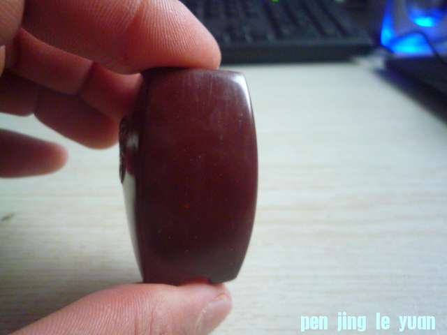 P1070523.JPG