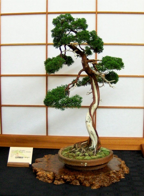 photo_5.jpg