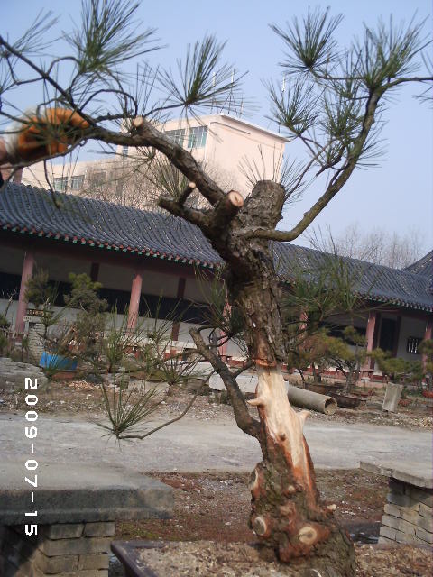 PHOT0097.JPG