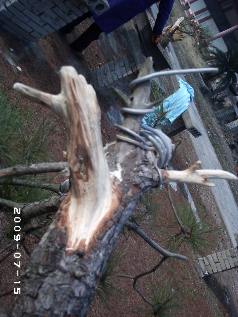 PHOT0102.JPG
