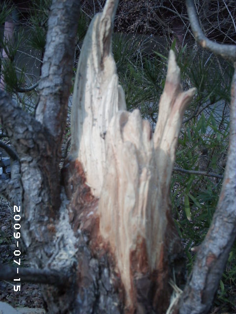 PHOT0105.JPG
